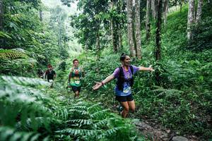 BIB: 
                            <button type="button" onclick="openModal(26359795)" class="btn btn-primary btn-sm float-right btn-popup" data-toggle="modal" data-target=".modal-high-quality">
                        <i class="fas fa-shopping-cart"></i> Add to Cart
                    </button>
                                            <button type="button" onclick="isThisMe(26359795, true)" class="btn btn-success btn-sm float-right btn-popup btn-isme hidden" data-toggle="tooltip" data-placement="bottom" title="นี่คือรูปของคุณใช่ไหม คลิกที่นี่เพื่อเอาเข้าอัลบั้ม">
                        <i class="fas fa-plus"></i> Add to album
                    </button>
                    <button type="button" onclick="isThisMe(26359795, false)" class="btn btn-warning btn-sm float-right btn-popup btn-isnotme hidden">
                        <i class="fas fa-ban"></i> Remove from album
                    </button>